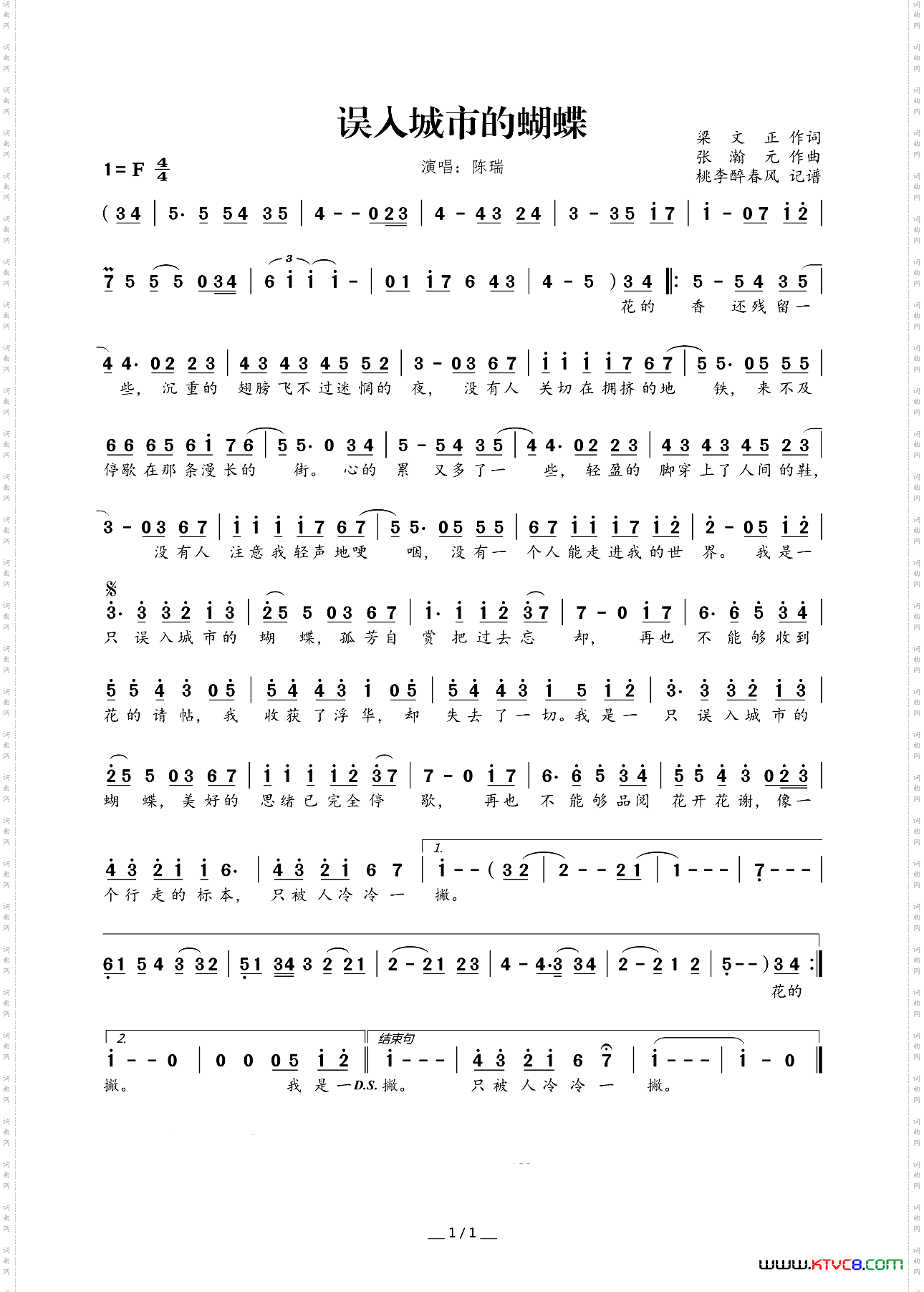 误入城市的蝴蝶