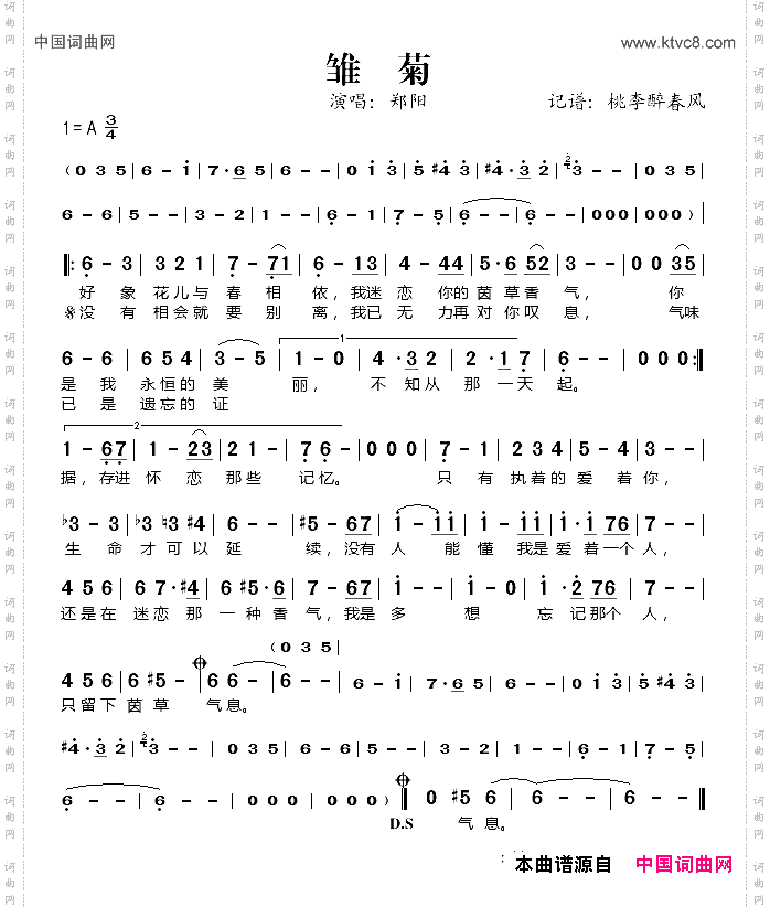 雏菊