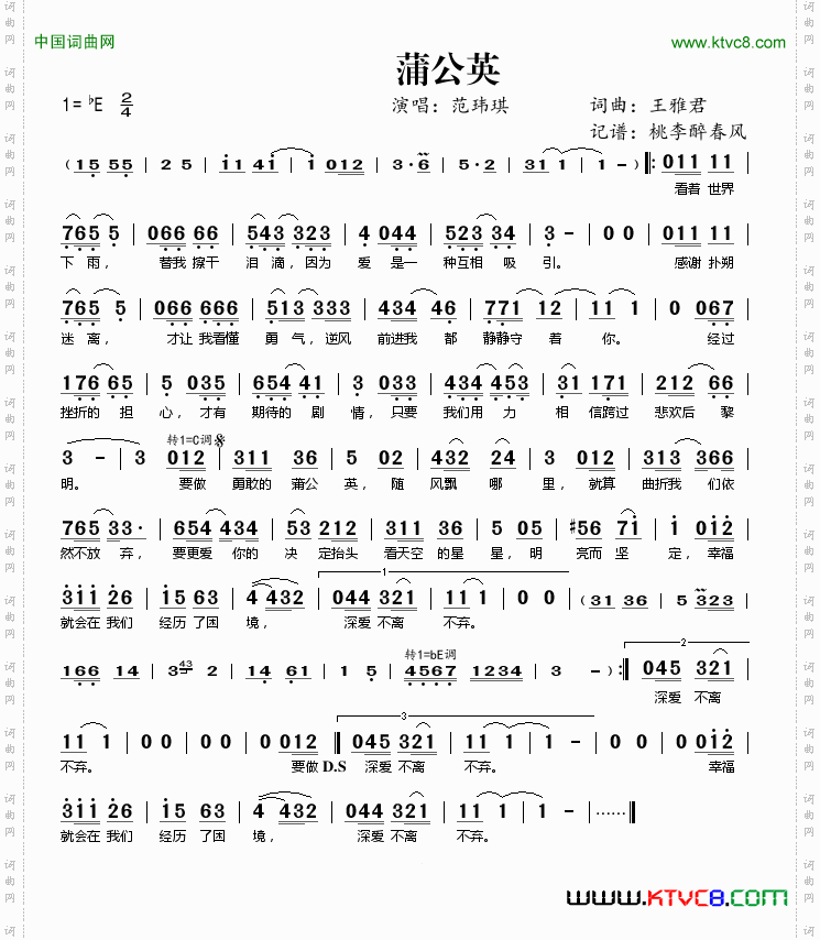 蒲公英
