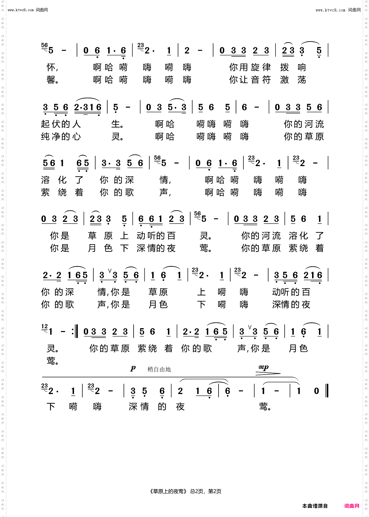 草原上的夜莺