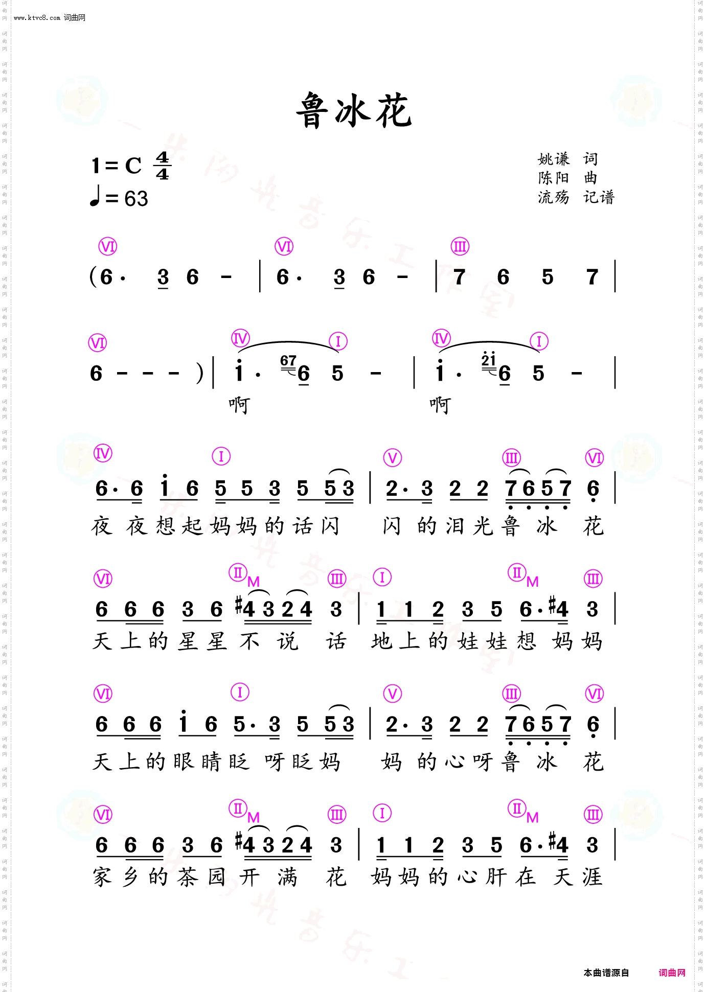 鲁冰花