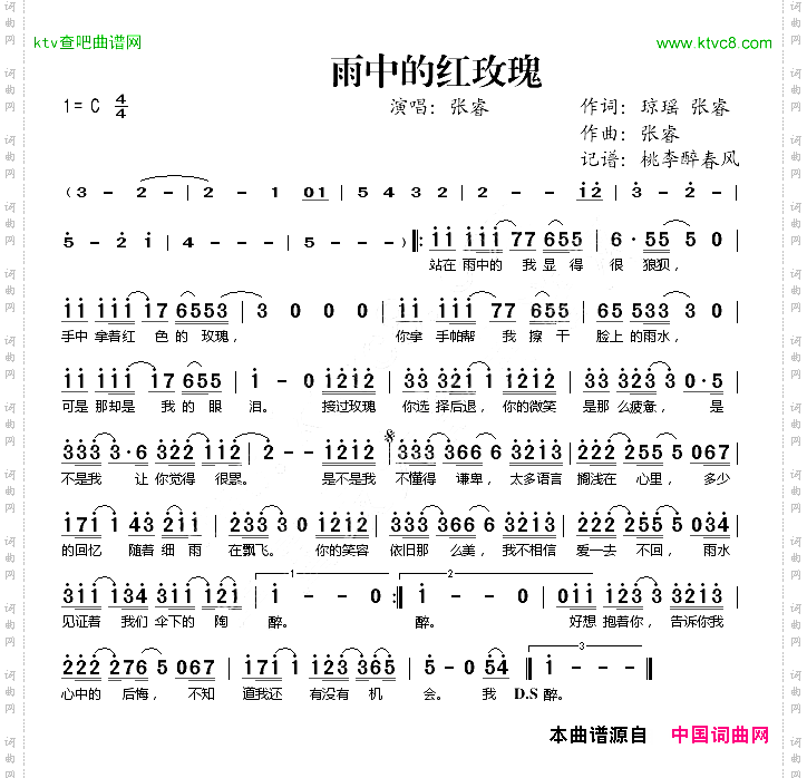 雨中的红玫瑰