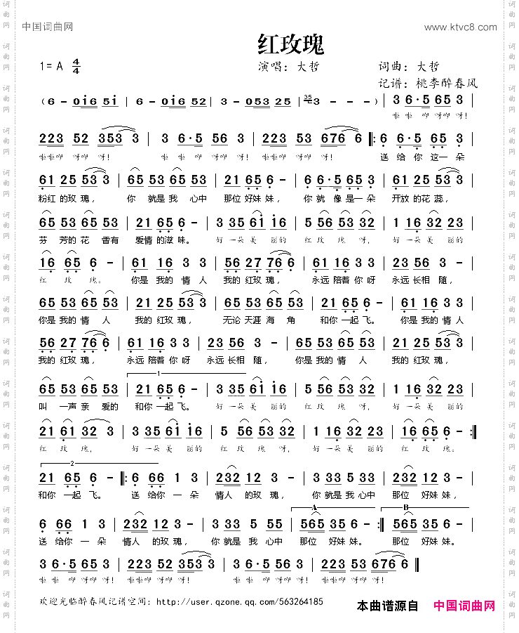 红玫瑰大哲词曲