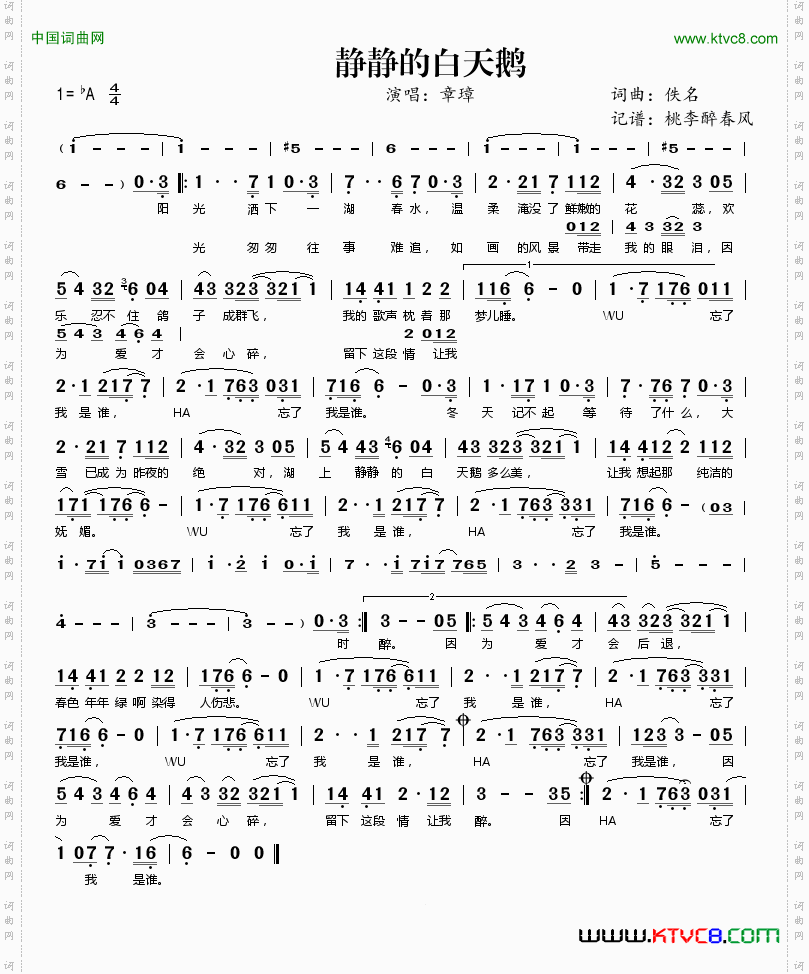 静静的白天鹅