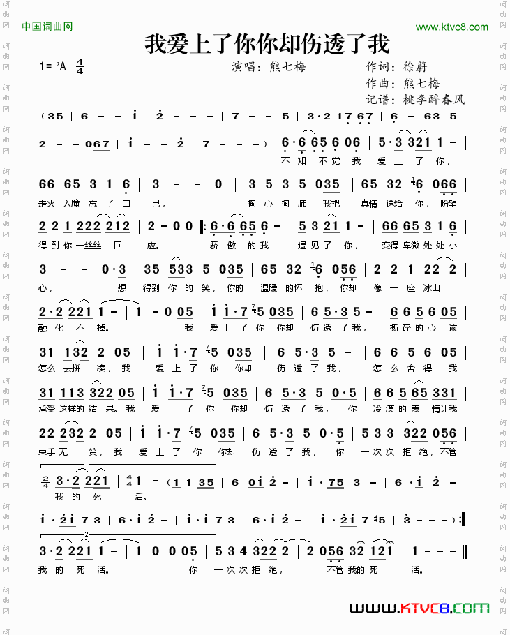 我爱上了你你却伤透了我