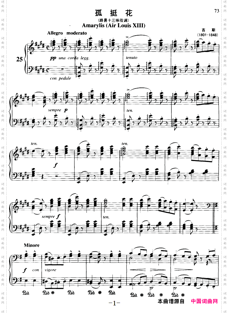 不可不弹的世界钢琴名曲：孤挺花路易十三咏叹调