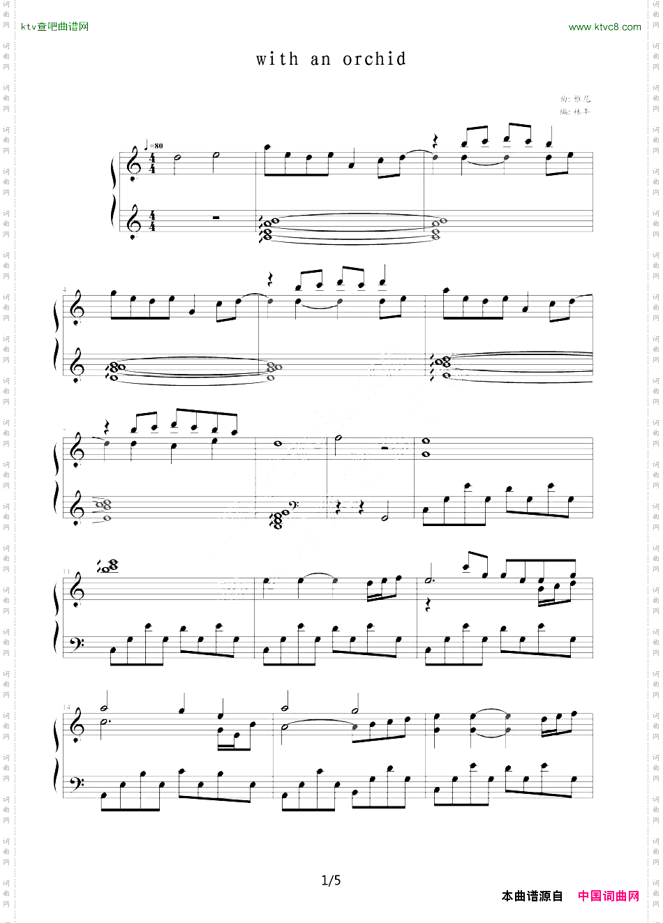 WithAnOrchid和兰花一起