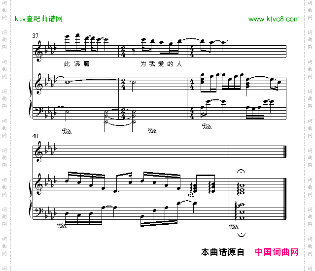 无条件为你