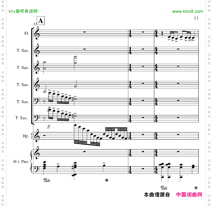 心雨
