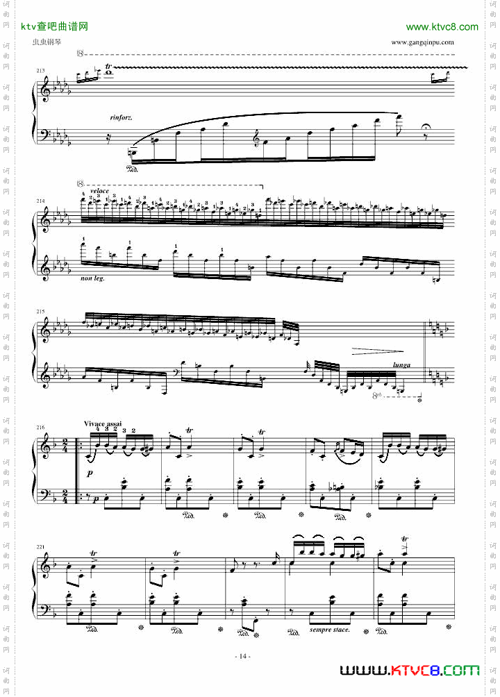 李斯特《匈牙利狂想曲14号》李斯特的又一首宏大的作品
