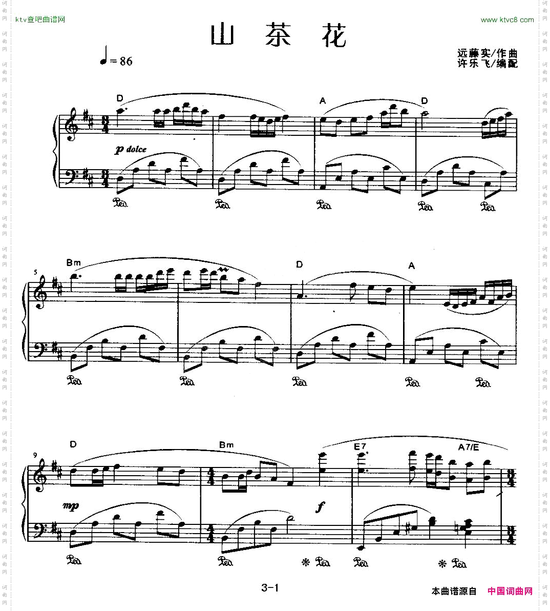 山茶花