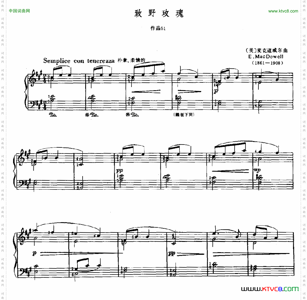 致野玫瑰