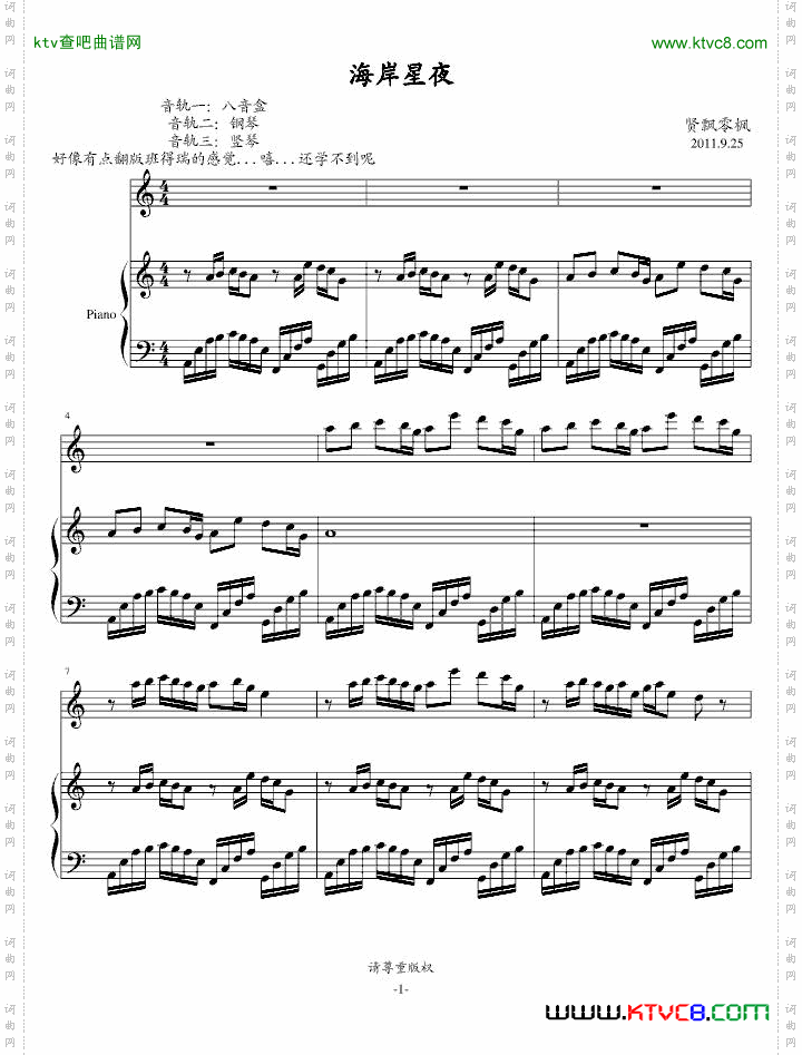 海岸星夜