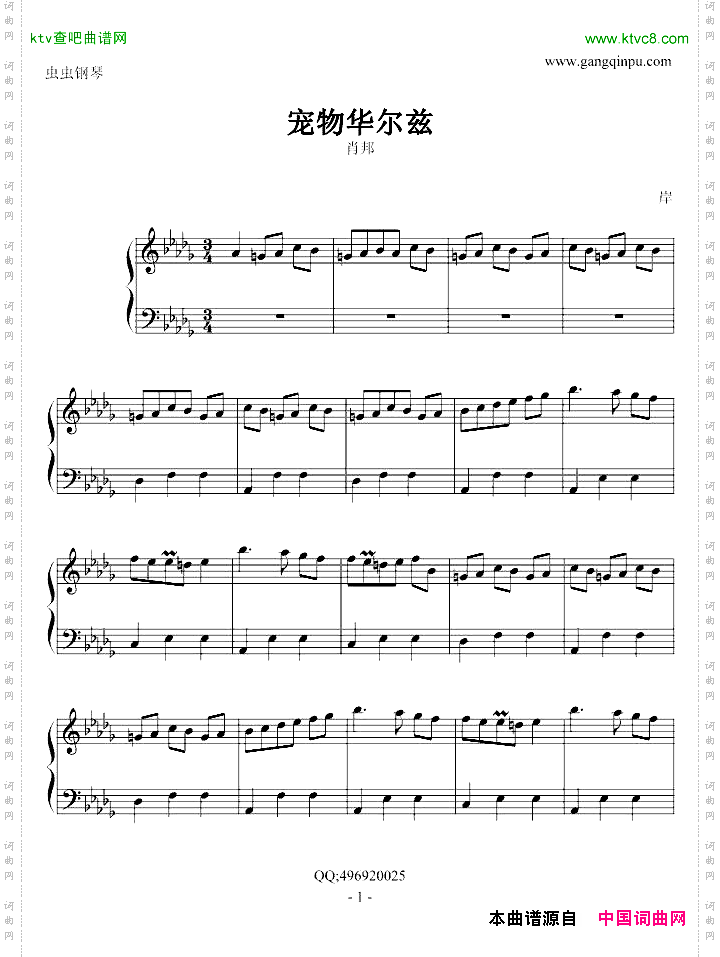 宠物华尔兹