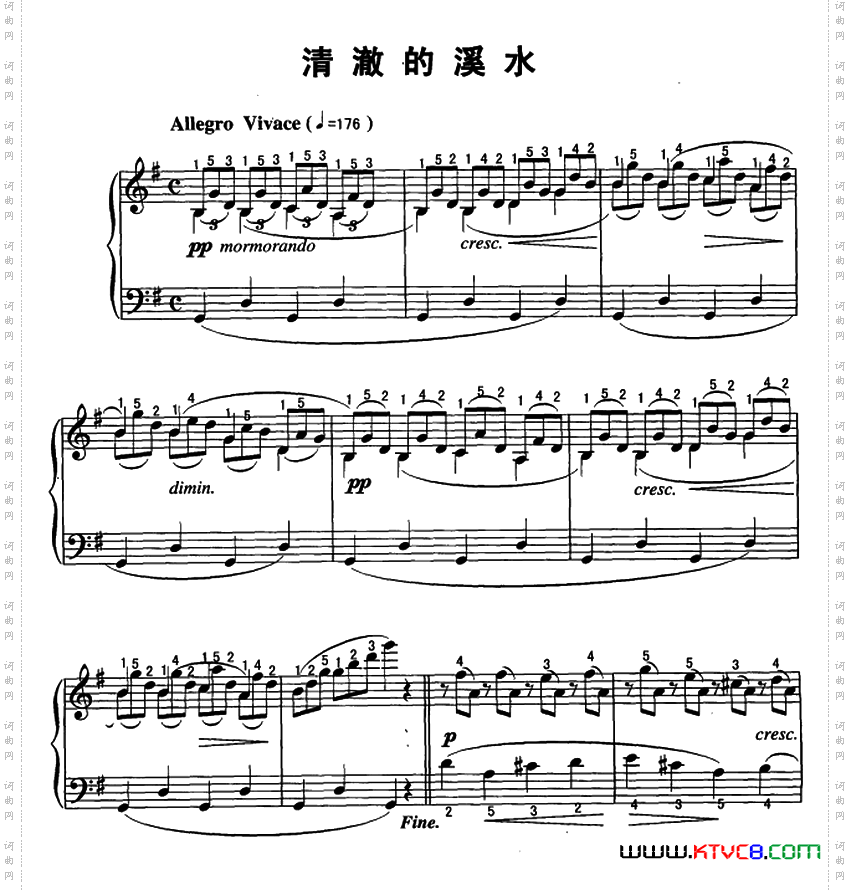 清澈的溪水