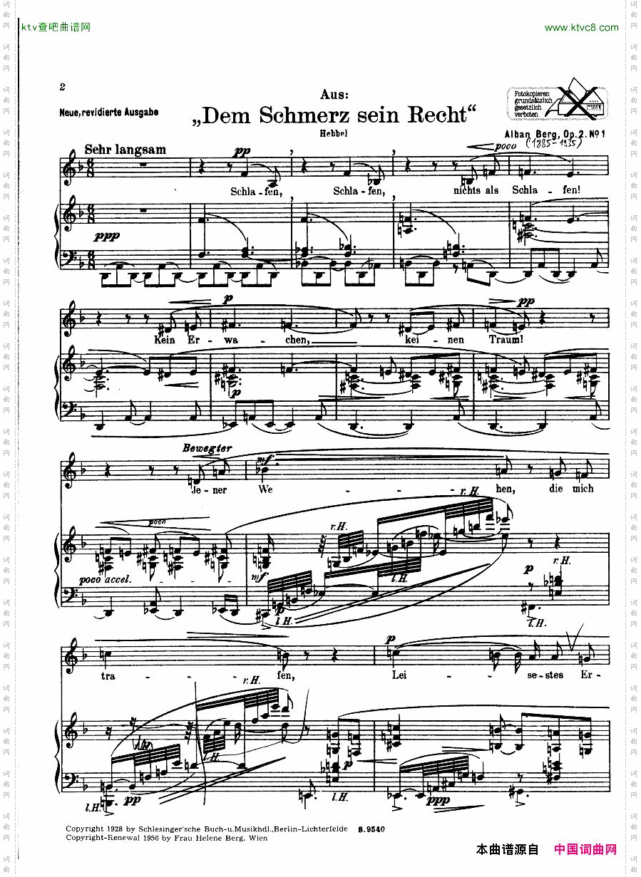 Berg-DemSchmerzseinRecht