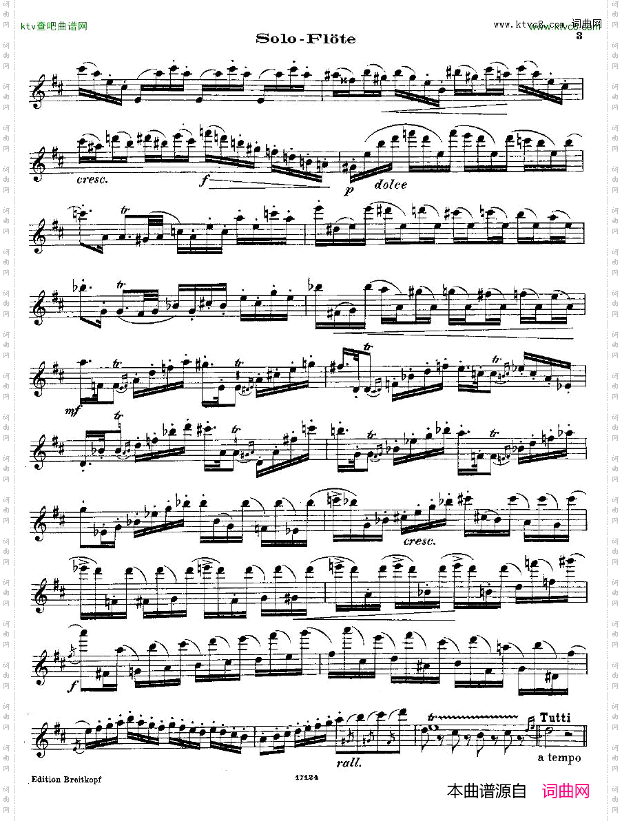 Andersen-KadenzenzuW.A.MozartsFltenkonzertNr.2D-dur-flsolo