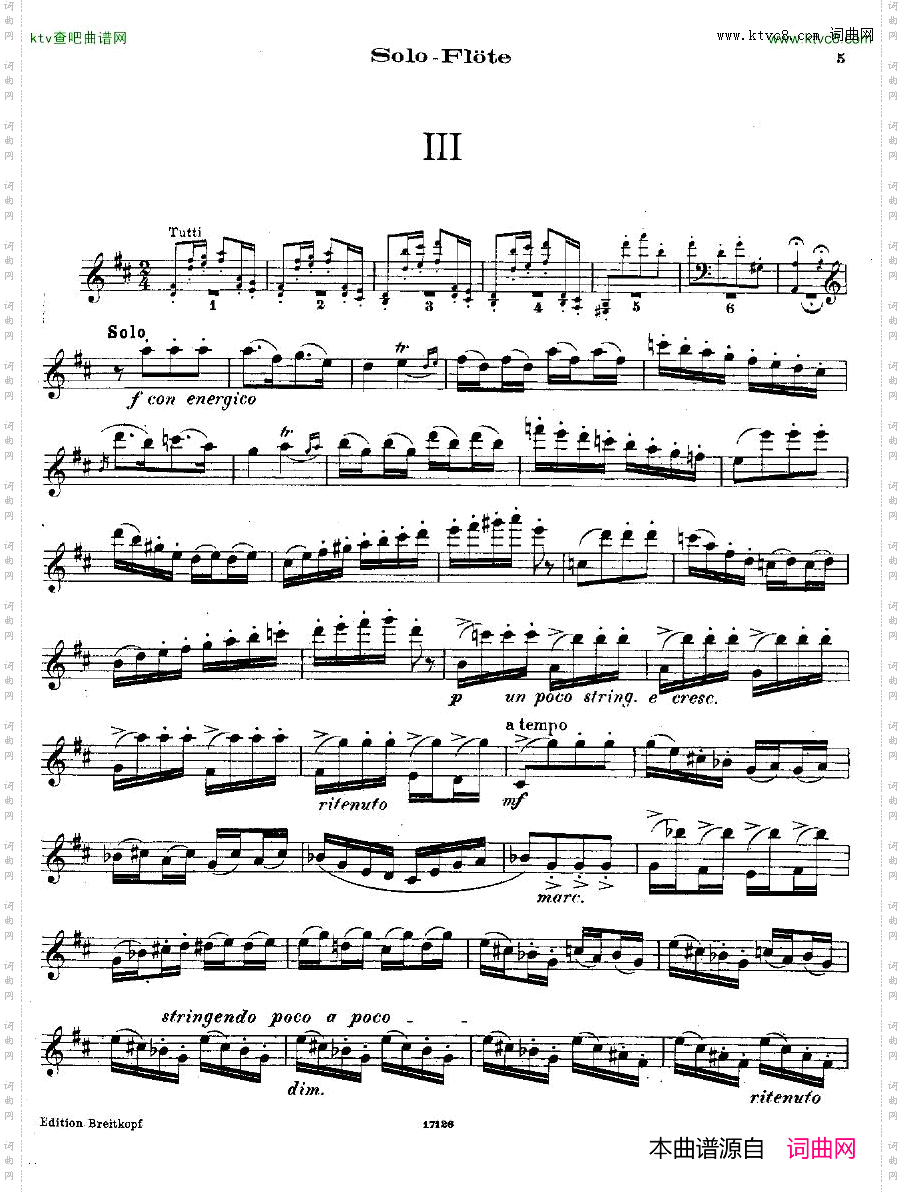 Andersen-KadenzenzuW.A.MozartsFltenkonzertNr.2D-dur-flsolo
