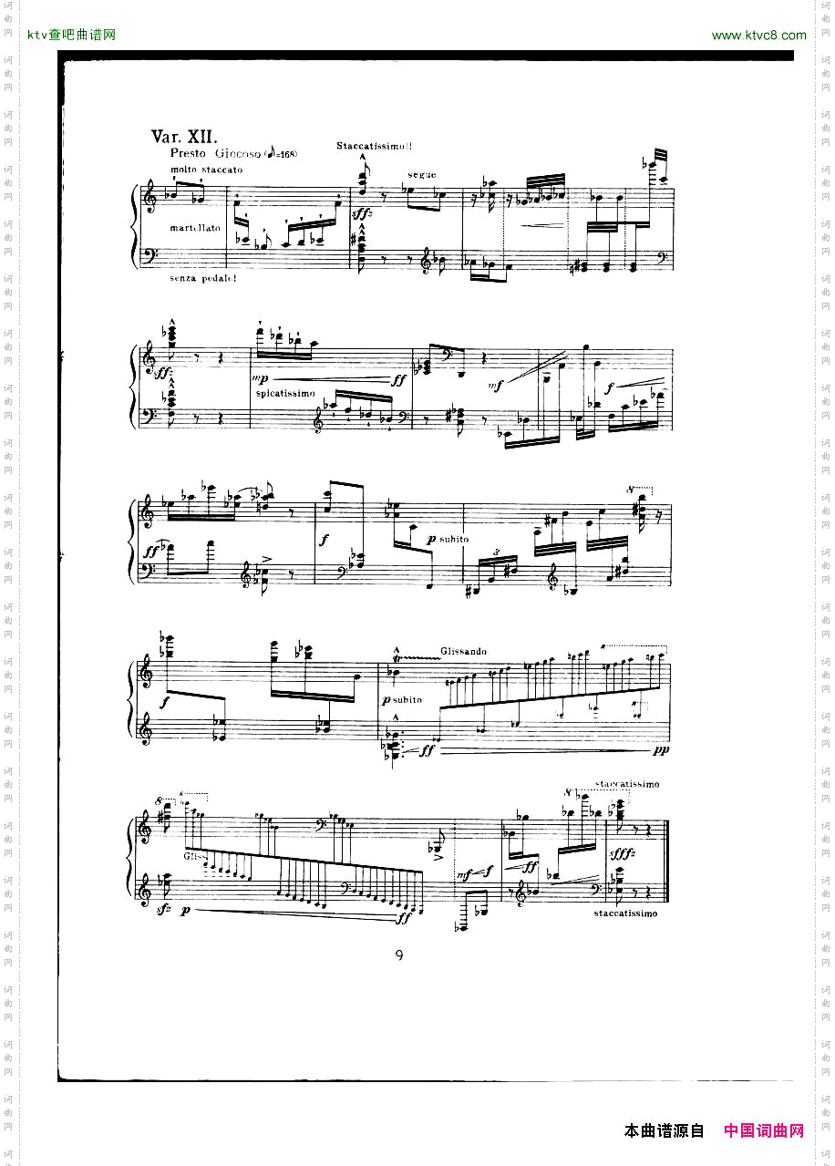 vanDieren-Theme&Variations