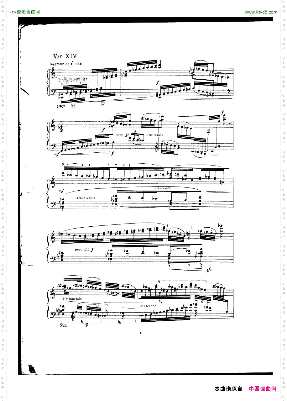 vanDieren-Theme&Variations