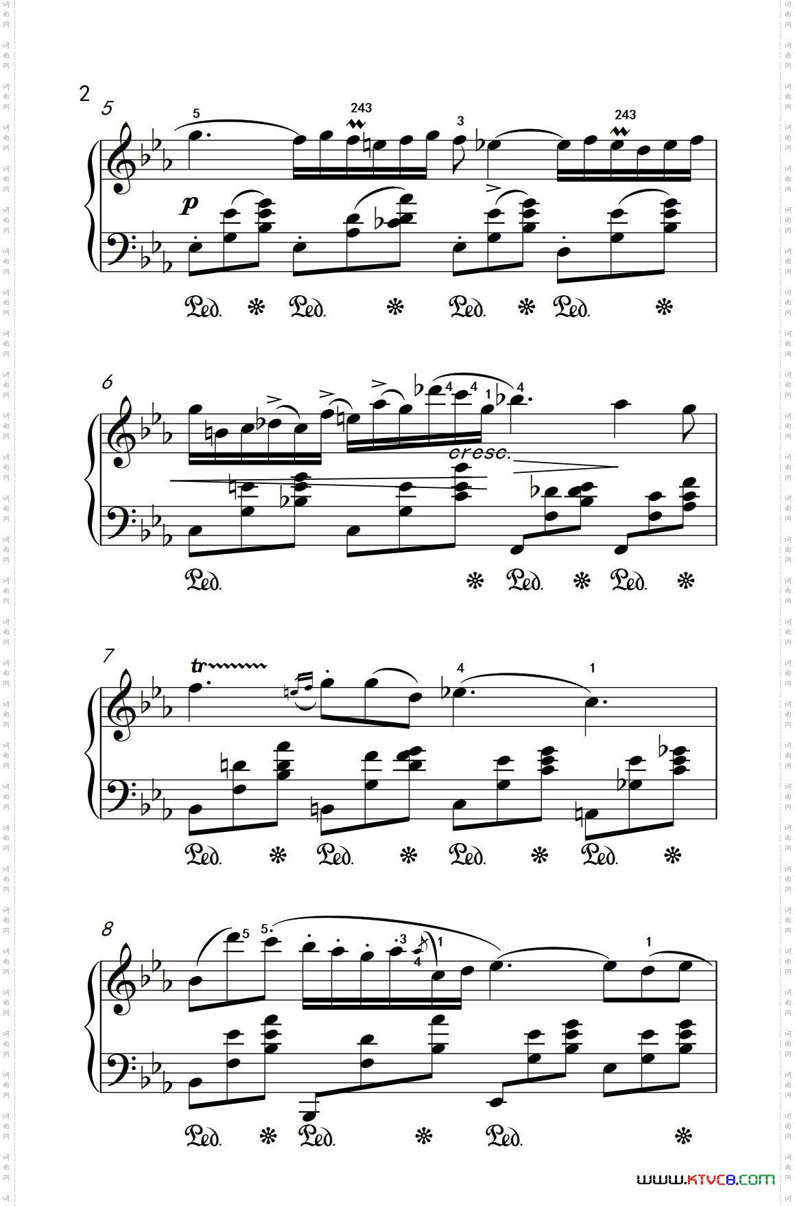 bE大调夜曲