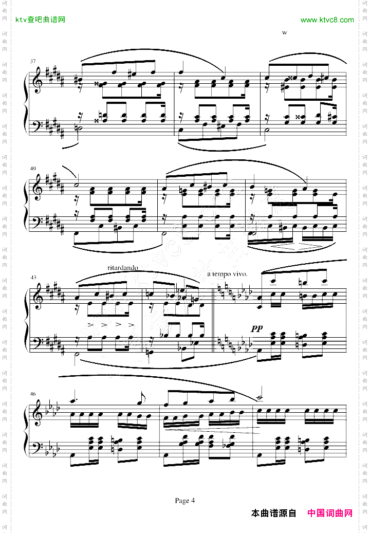 狂欢节NO.14
