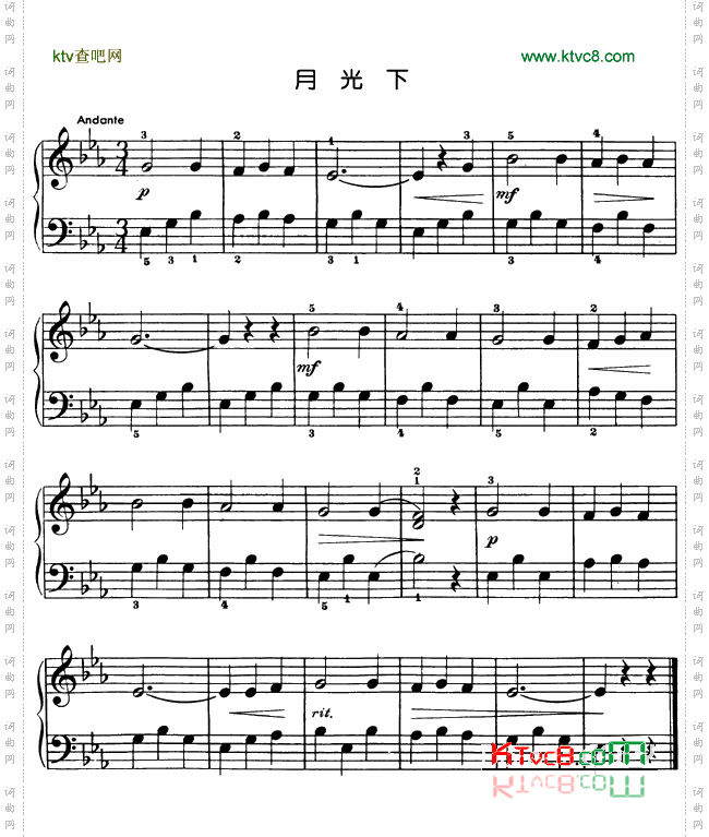 月光下