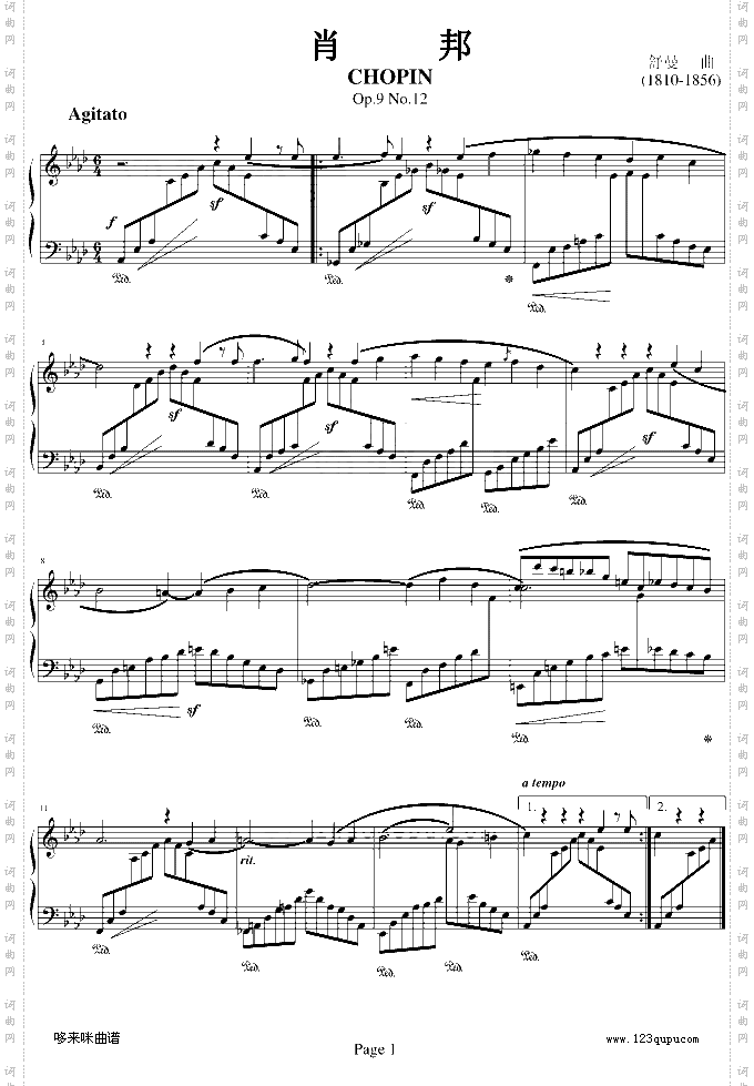 肖邦Op.9No.12-舒曼