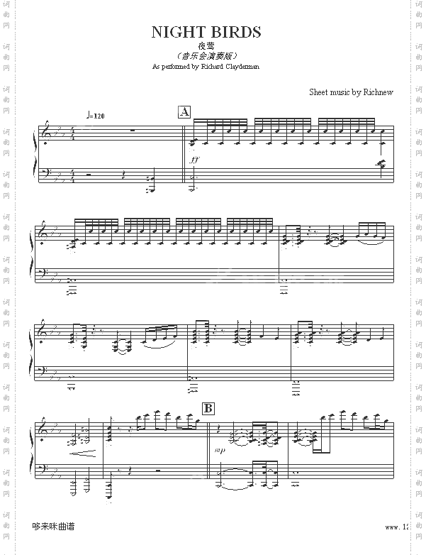 夜莺-Richnew