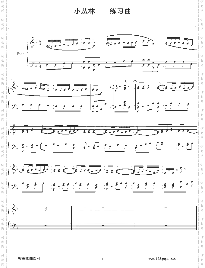 小丛林---练习曲-世界名曲