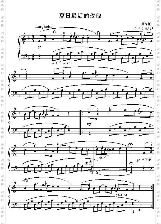 夏日最后的玫瑰弗洛托