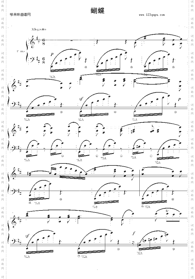 蝴蝶-windtsao-默克尔