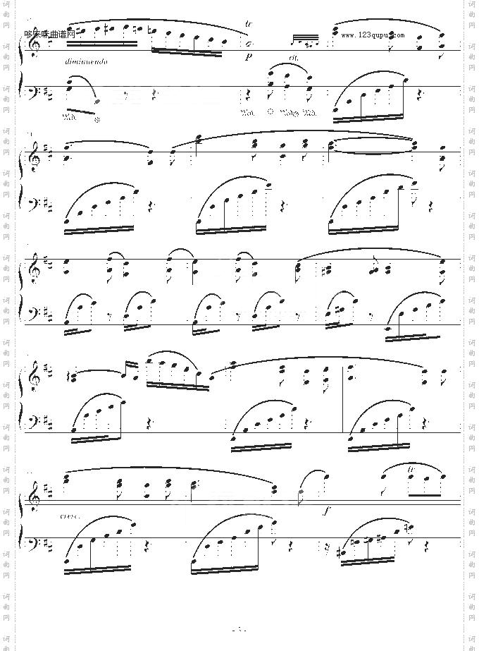 蝴蝶-windtsao-默克尔