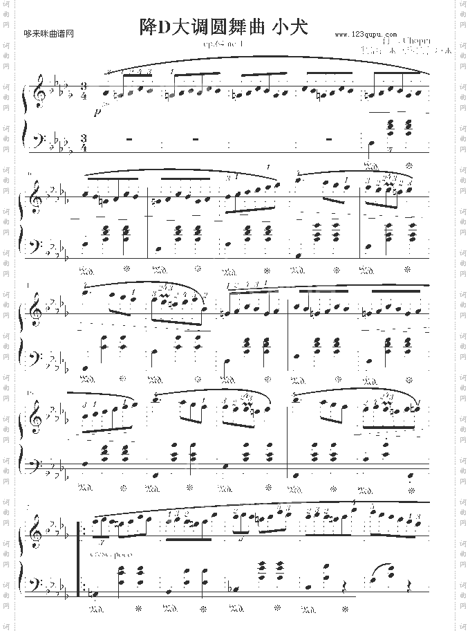 华丽的降D大调圆舞曲-小狗-肖邦