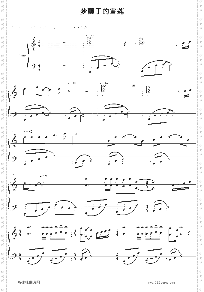 梦醒了的雪莲-南山