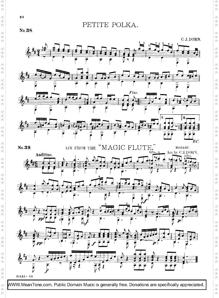 PetitePolka
