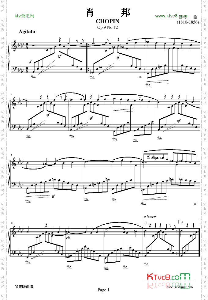 肖邦Op.9No.12-舒曼