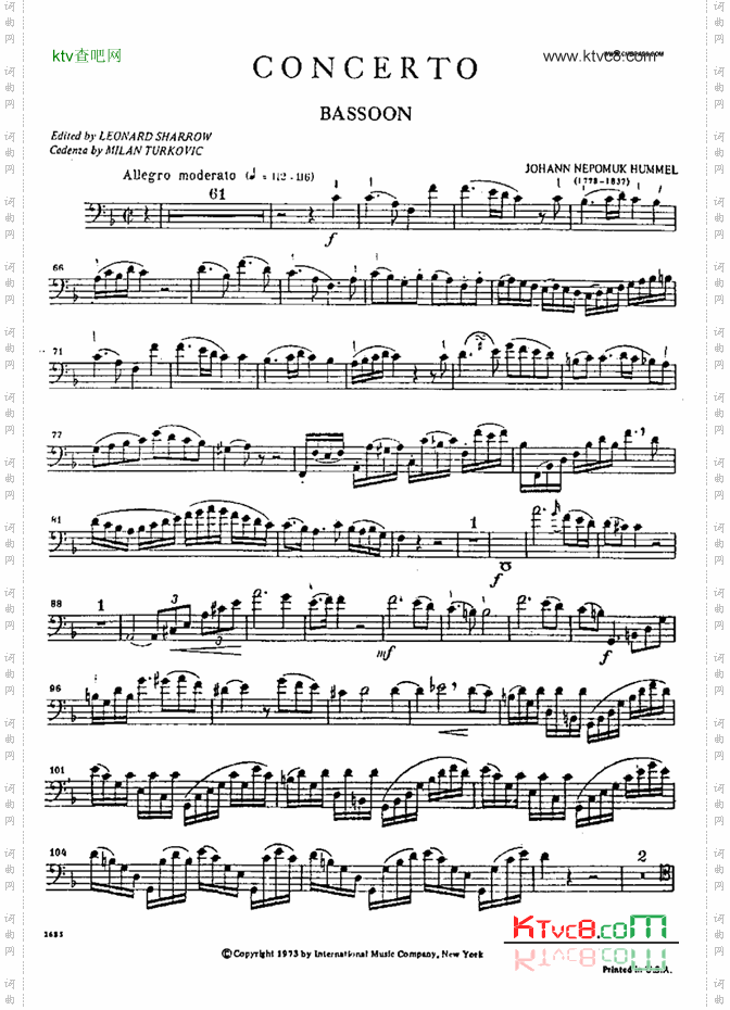 bassoon