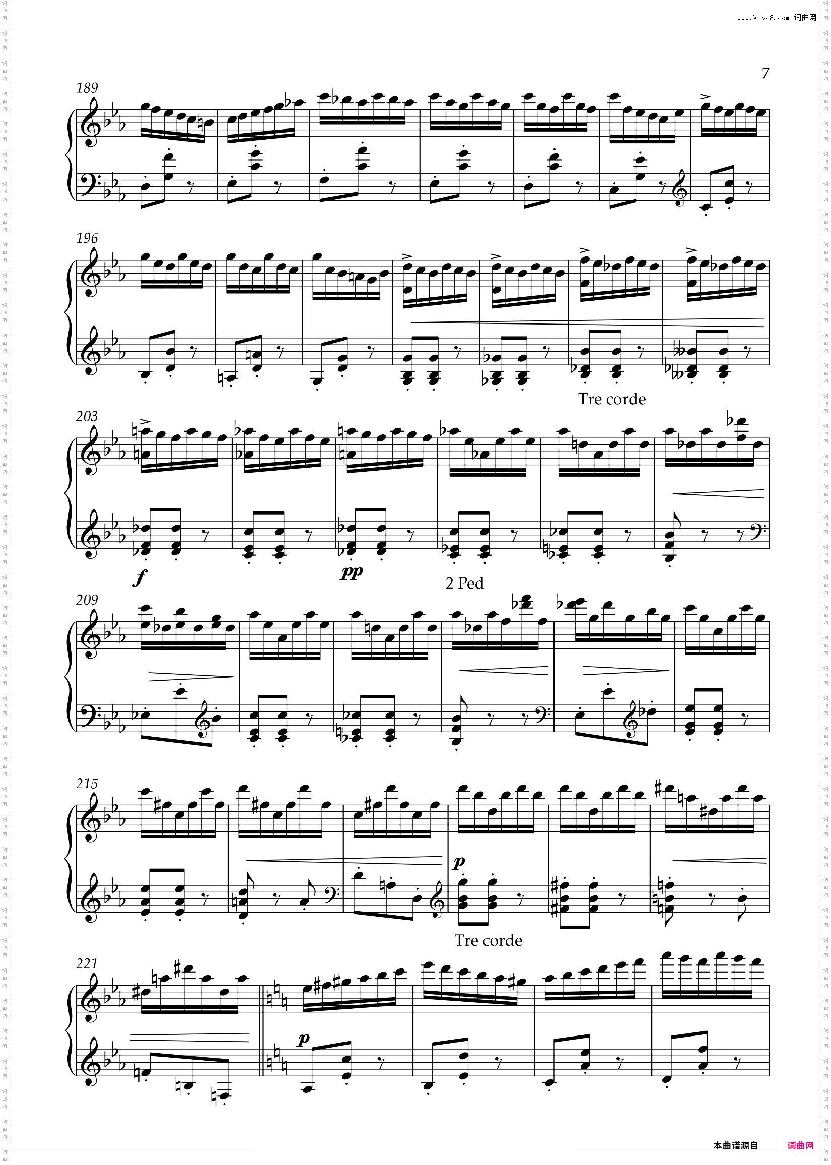 étude de concert 音乐会练习曲 Opus 13