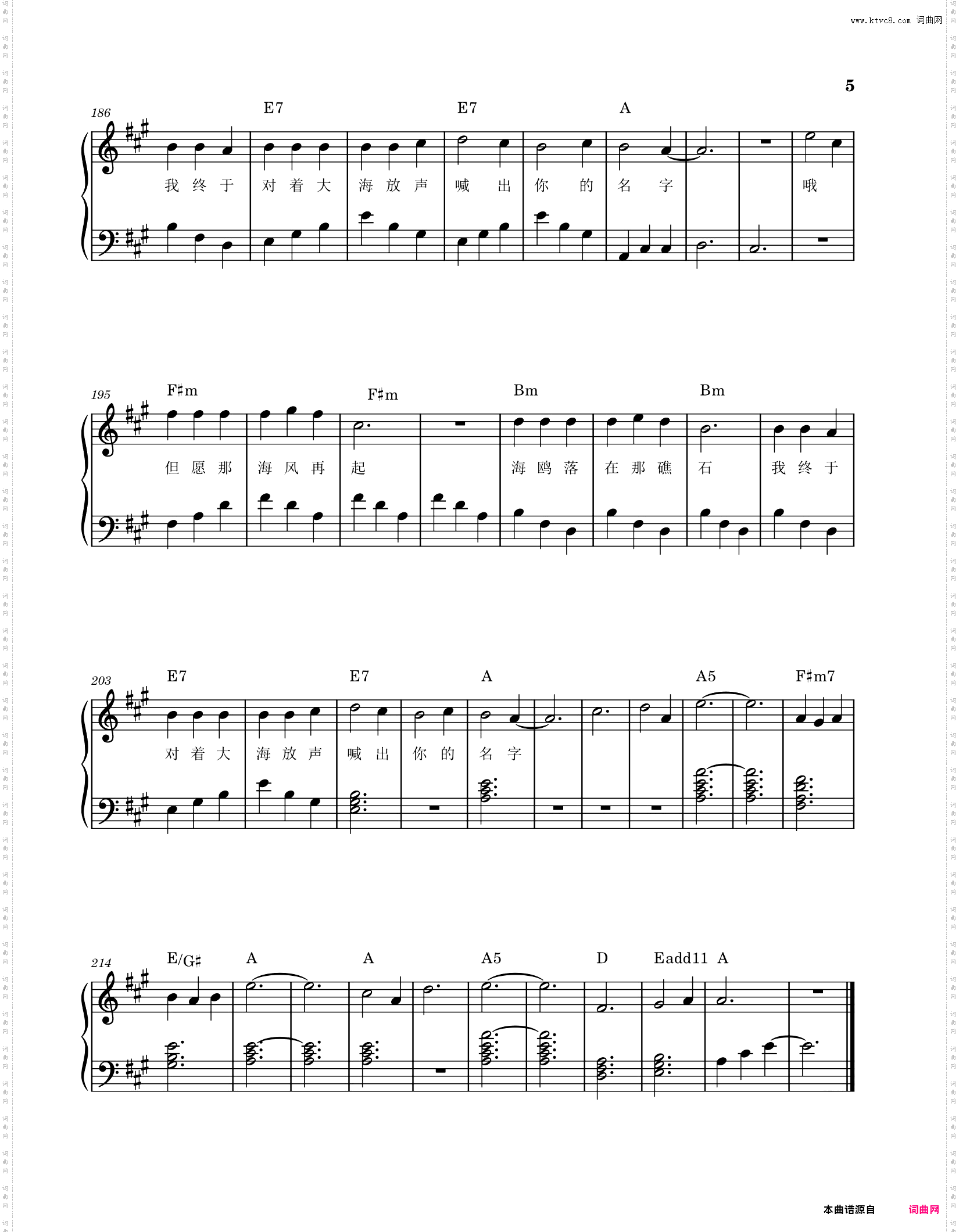 海鸥-逃跑计划