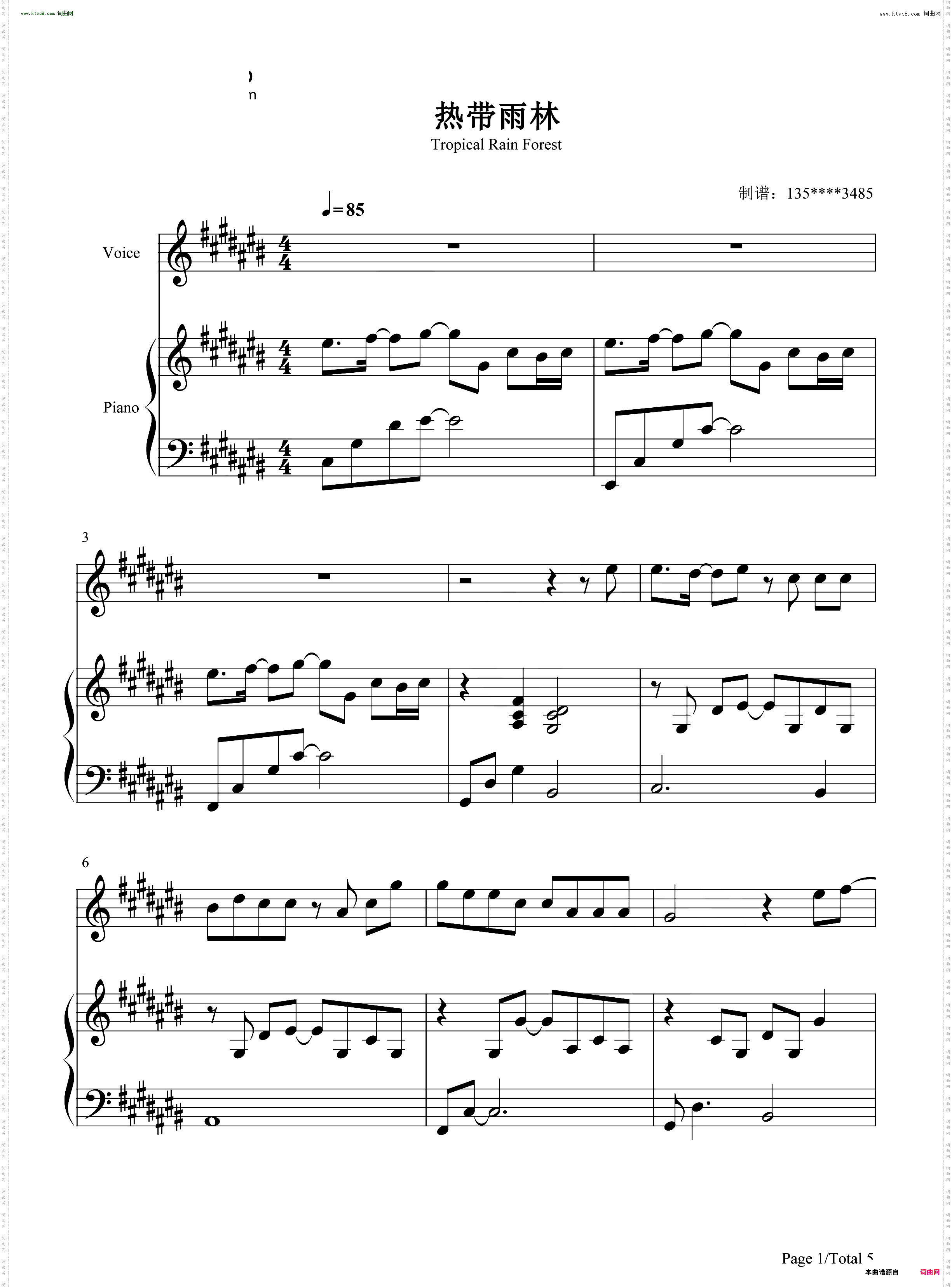 热带雨林_弹唱版