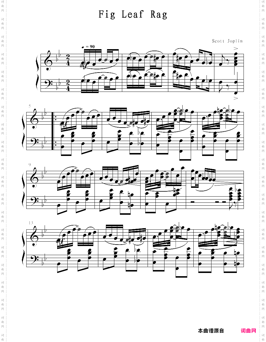 fig leaf rag无花果叶拉格