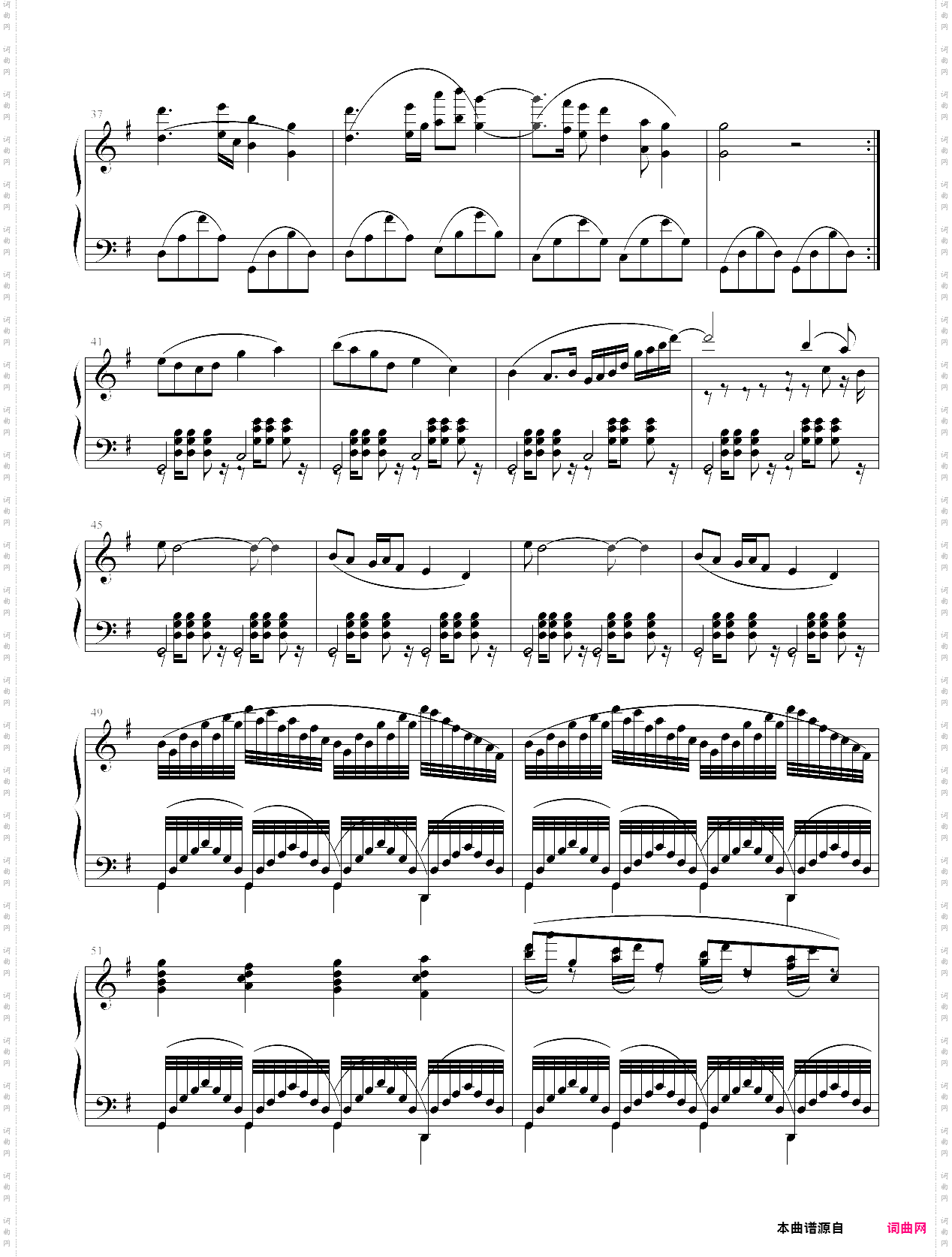 愉快的暑假：美丽的海景