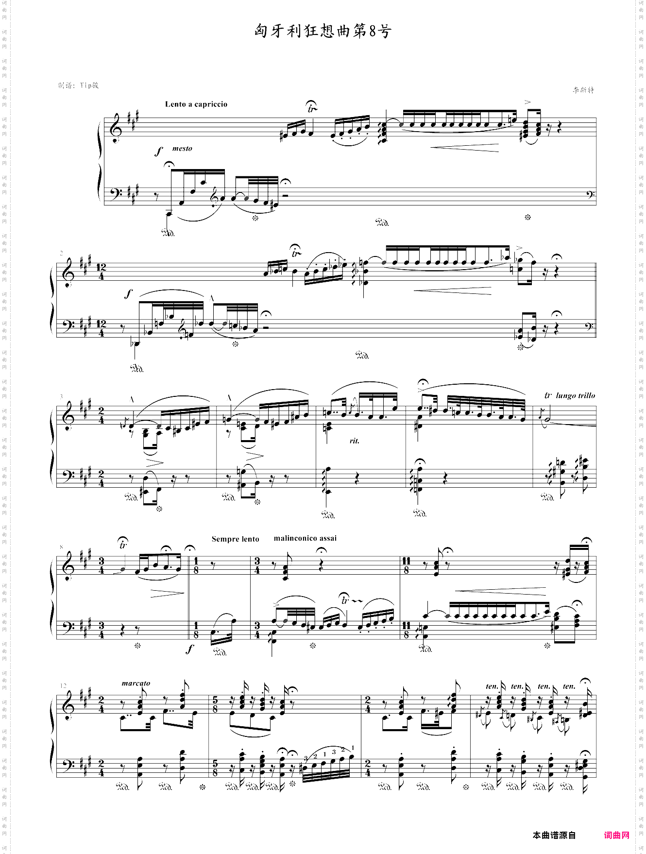 匈牙利狂想曲第8号辉煌明亮的狂想曲，yip骏版