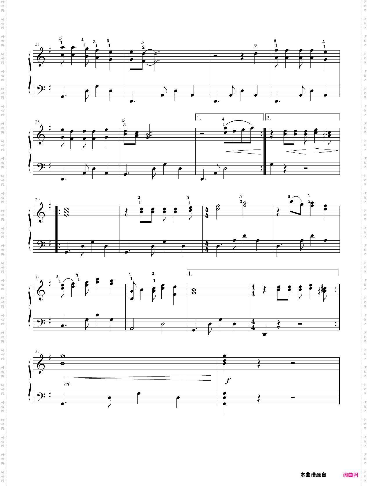 鸽子中级简易版