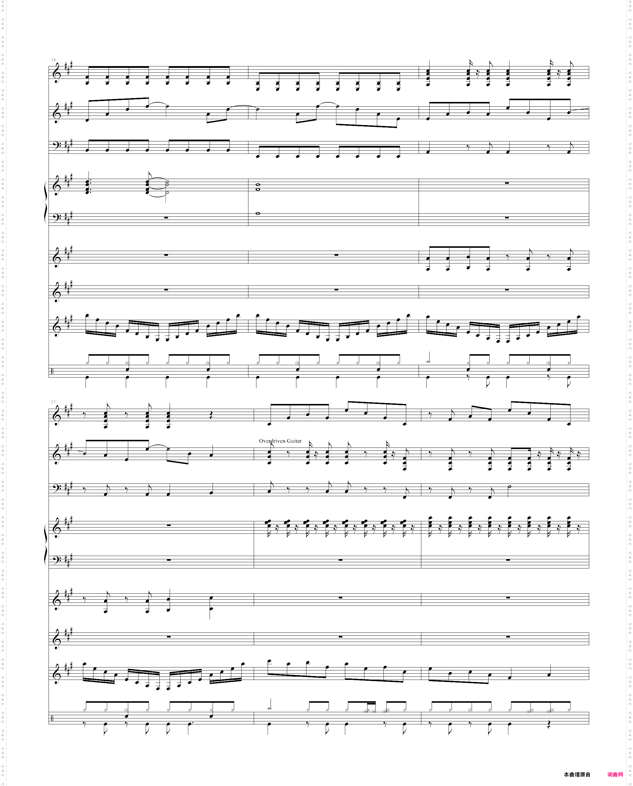 ポニ`テ`ルとシュシュ