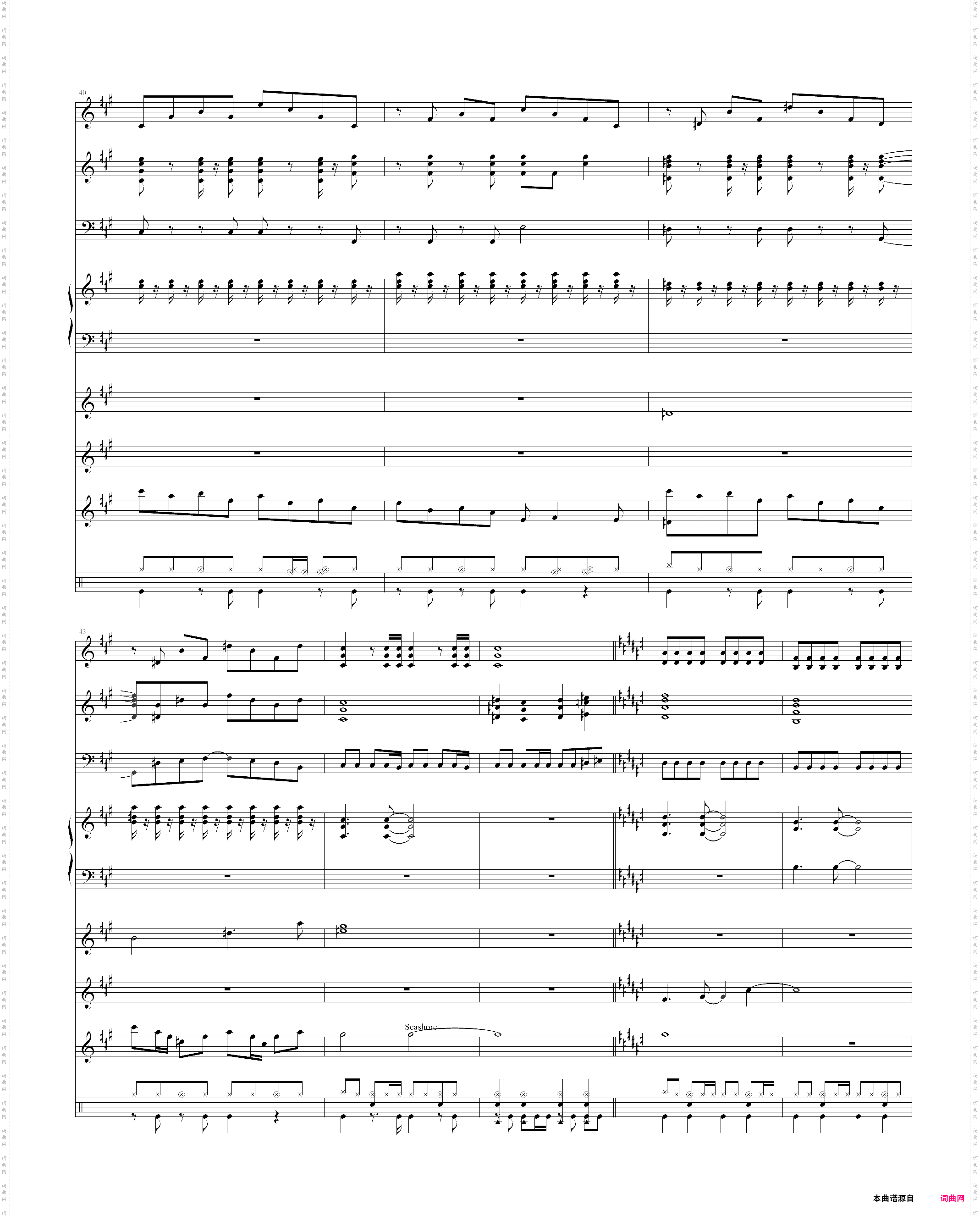 ポニ`テ`ルとシュシュ