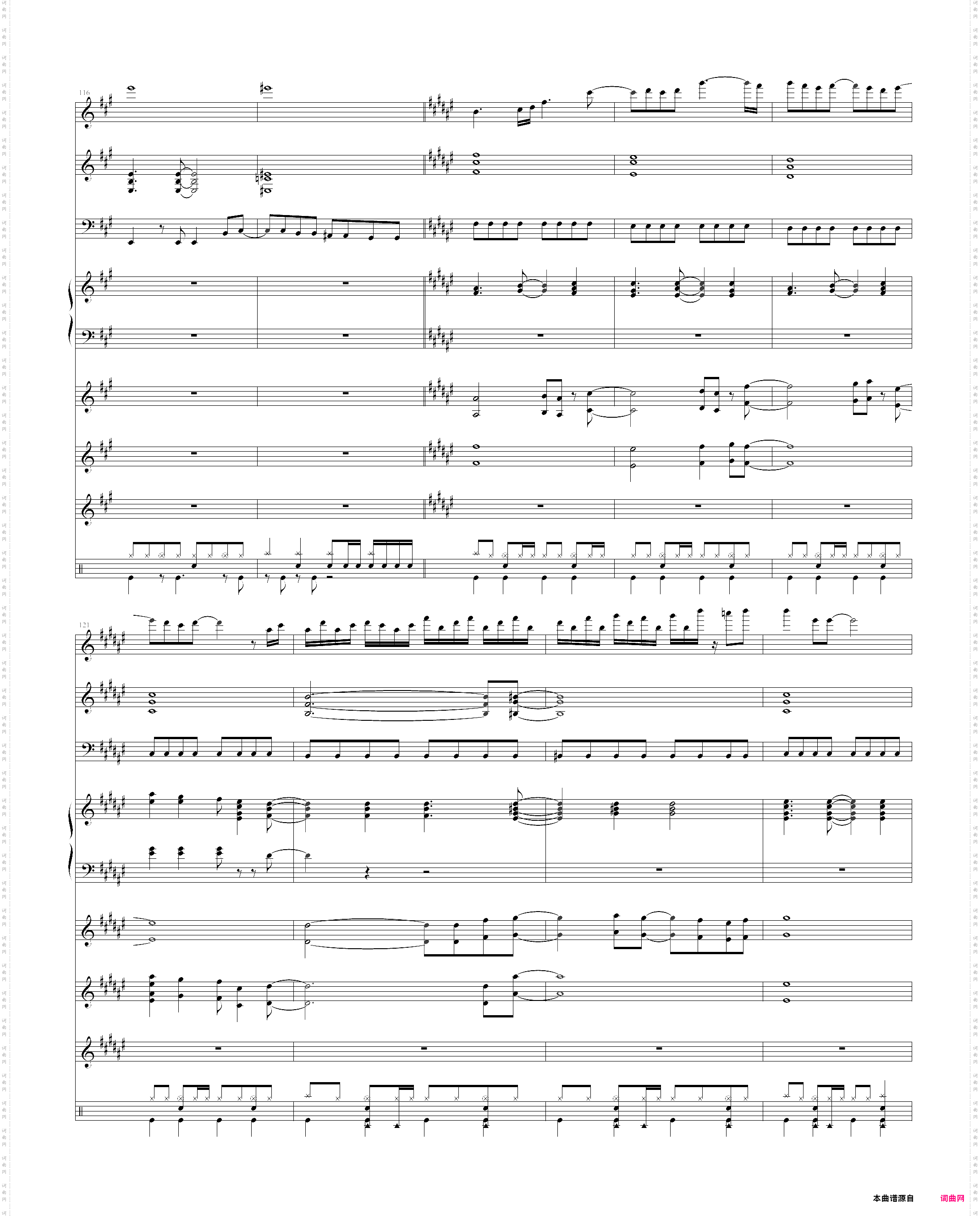 ポニ`テ`ルとシュシュ