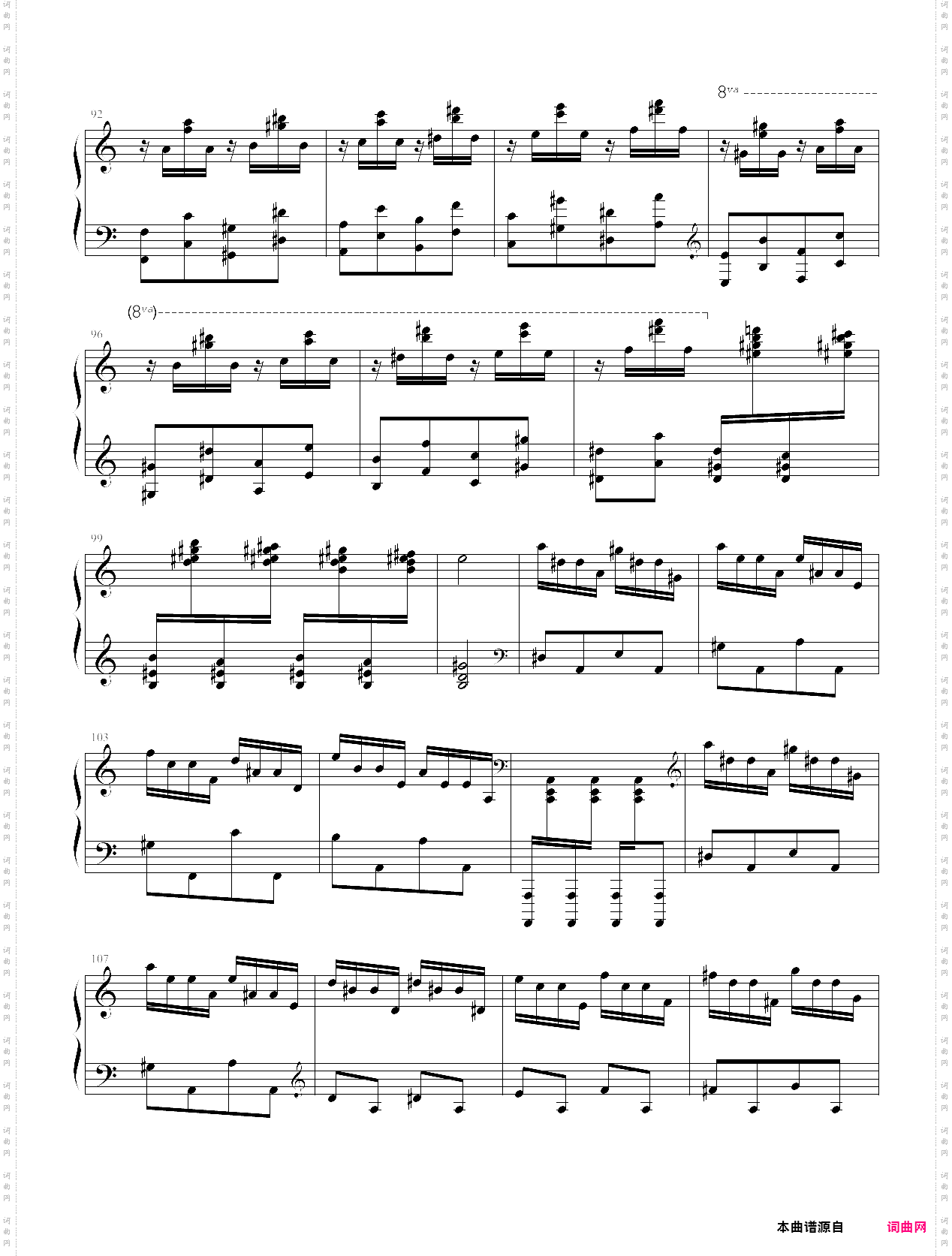 “狼兔”练习曲