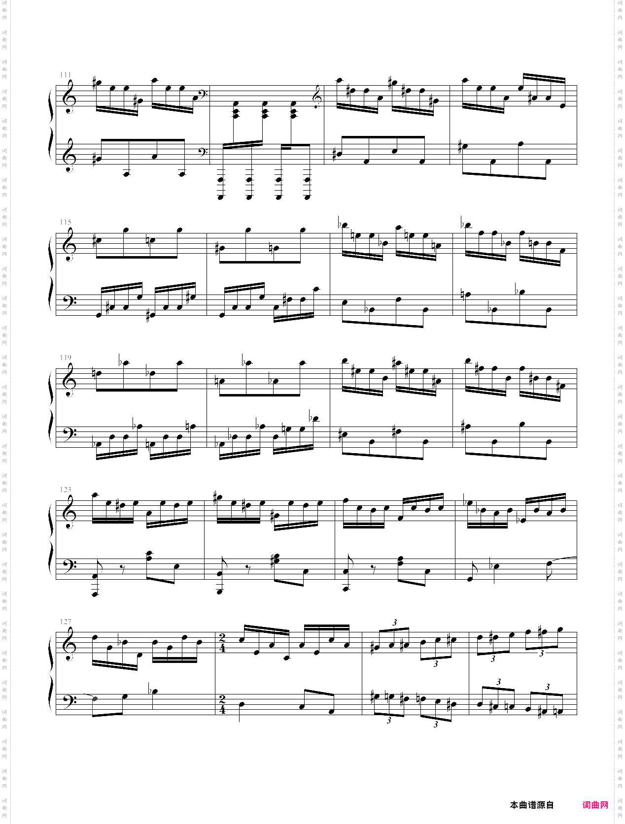 “狼兔”练习曲